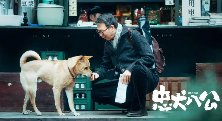 荔枝在国外听不了指南